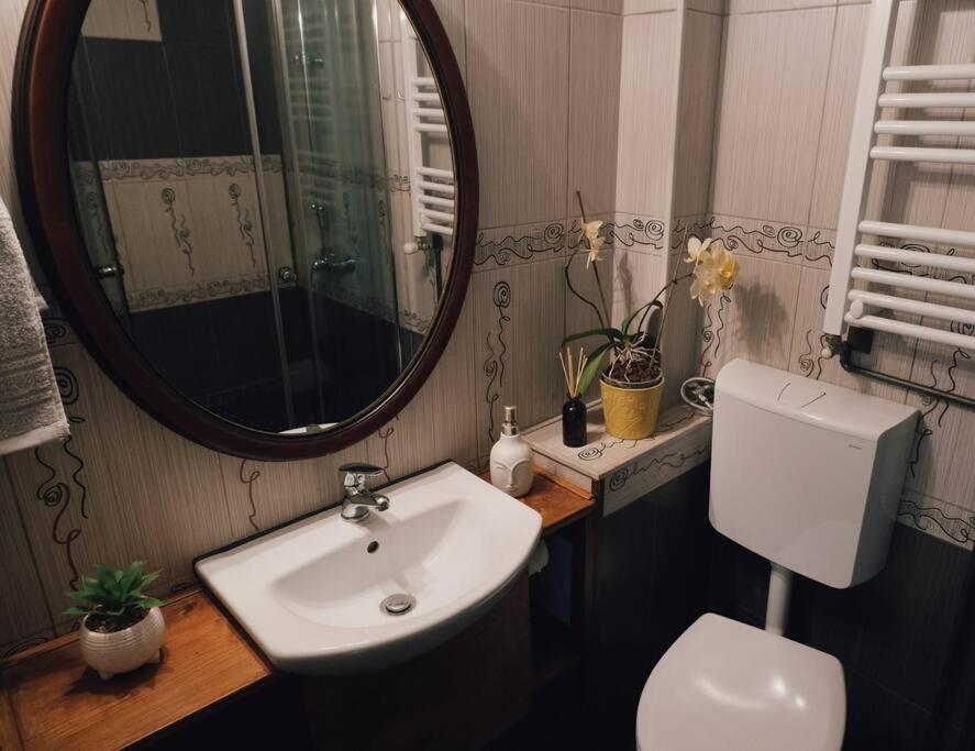 Vista Studio Brasov In The Heart Of The Old City Center Buitenkant foto