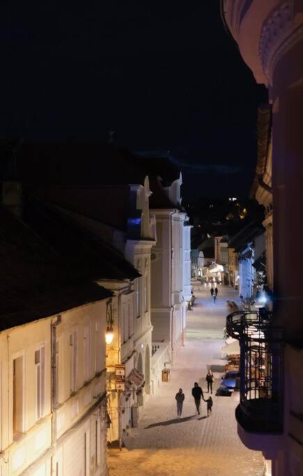 Vista Studio Brasov In The Heart Of The Old City Center Buitenkant foto